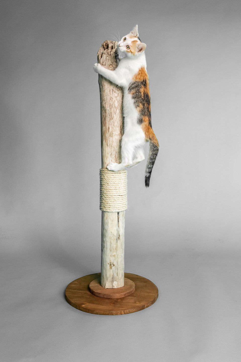 Handgemachte Echtholz-Katzenmöbel - individuell, exclusiv, nachhaltig. Echtholz Katzenkratzbaum. Der Tom Cat Scratch Tower.