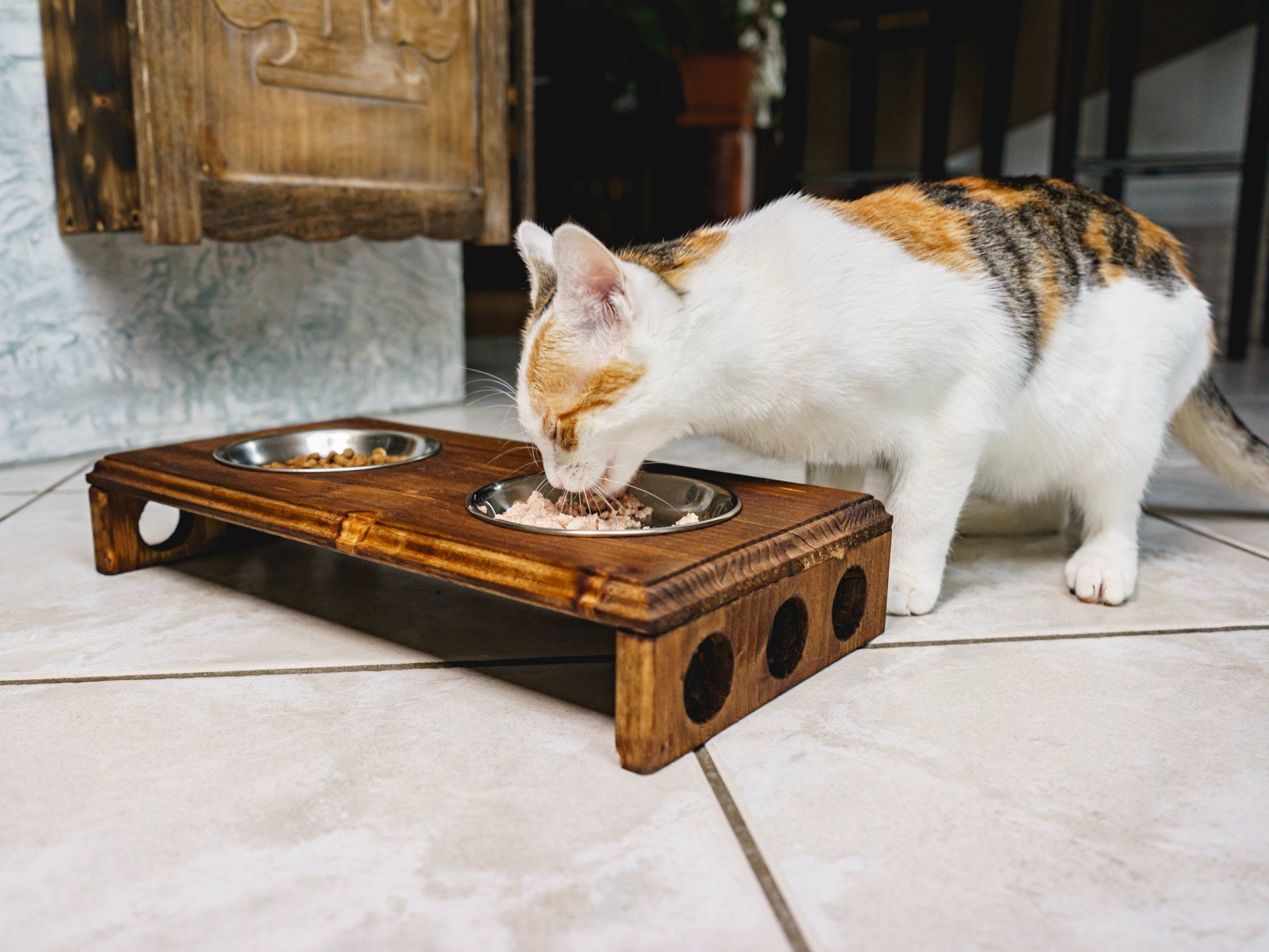 Handgemachte Echtholz-Katzenmöbel - individuell, exclusiv, nachhaltig. Echtholz Katzenkratzbaum. Der Tom Cat Gourmet Tempel.