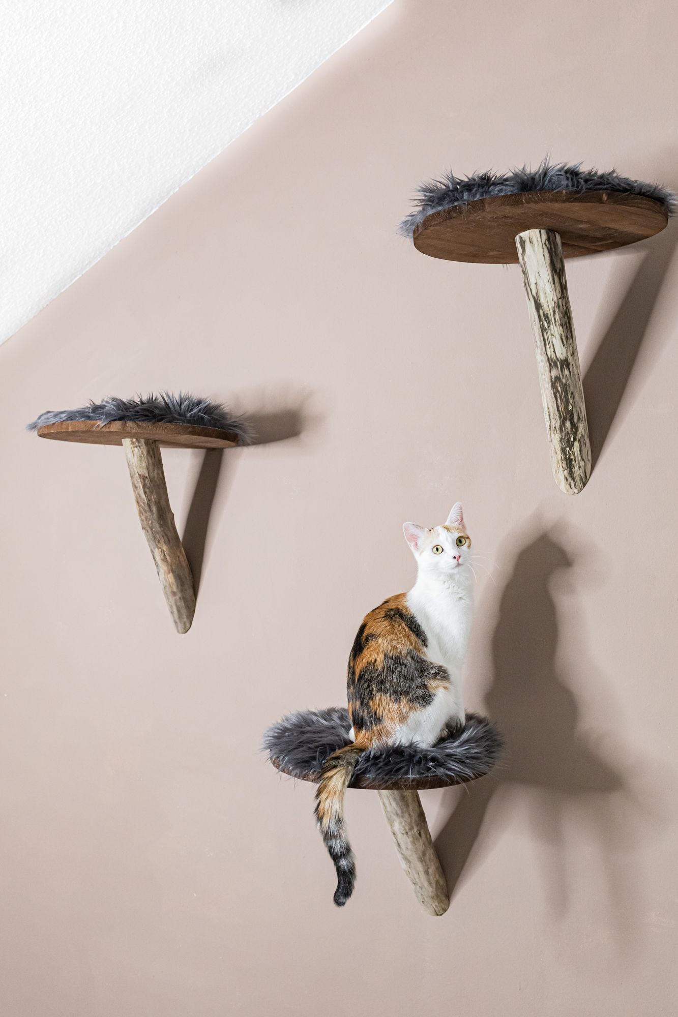 Handgemachte Echtholz-Katzenmöbel - individuell, exclusiv, nachhaltig. Echtholz Katzenkratzbaum. Der Tom Cat KLetterpark.