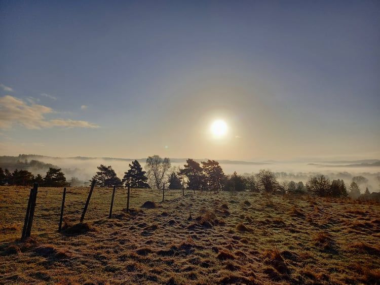 (C)Alexandra Schmiedebach