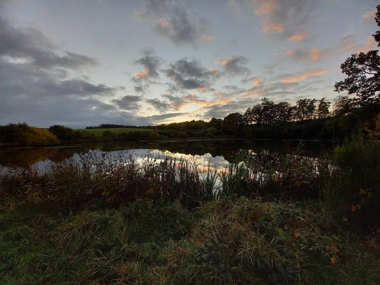 (C) Alexandra Schmiedebach