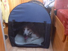 The soft dog cage which you can borrow.