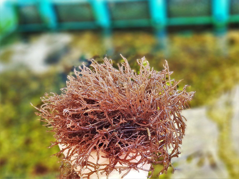 Le quotidien au naturel-002