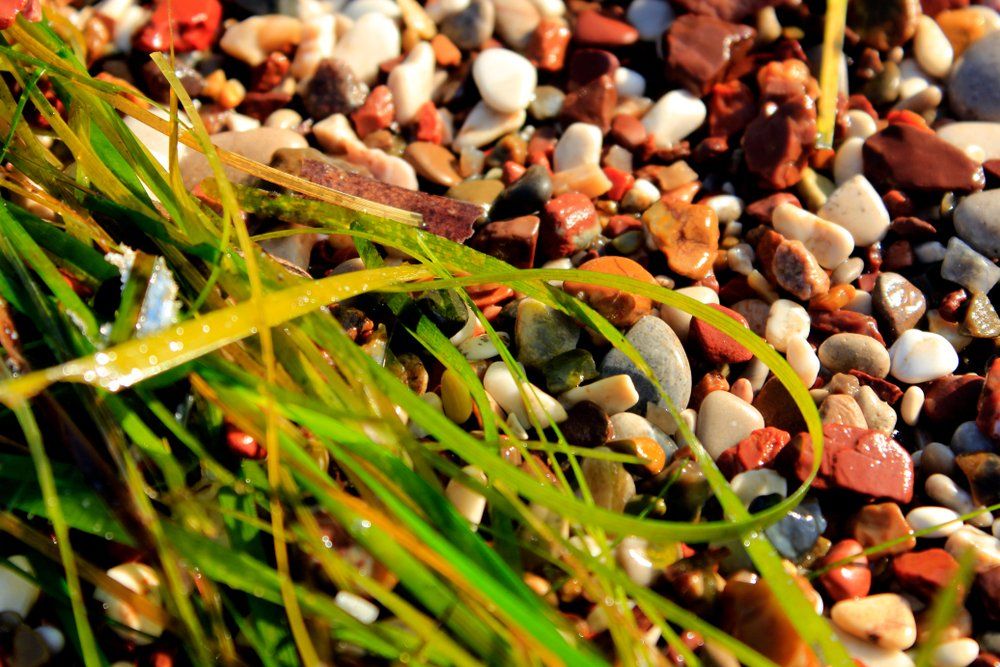 Le quotidien au naturel-003