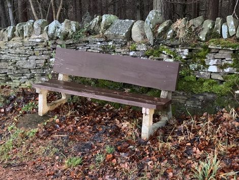 Bench seat at Cockland Nook adopted by a local resident