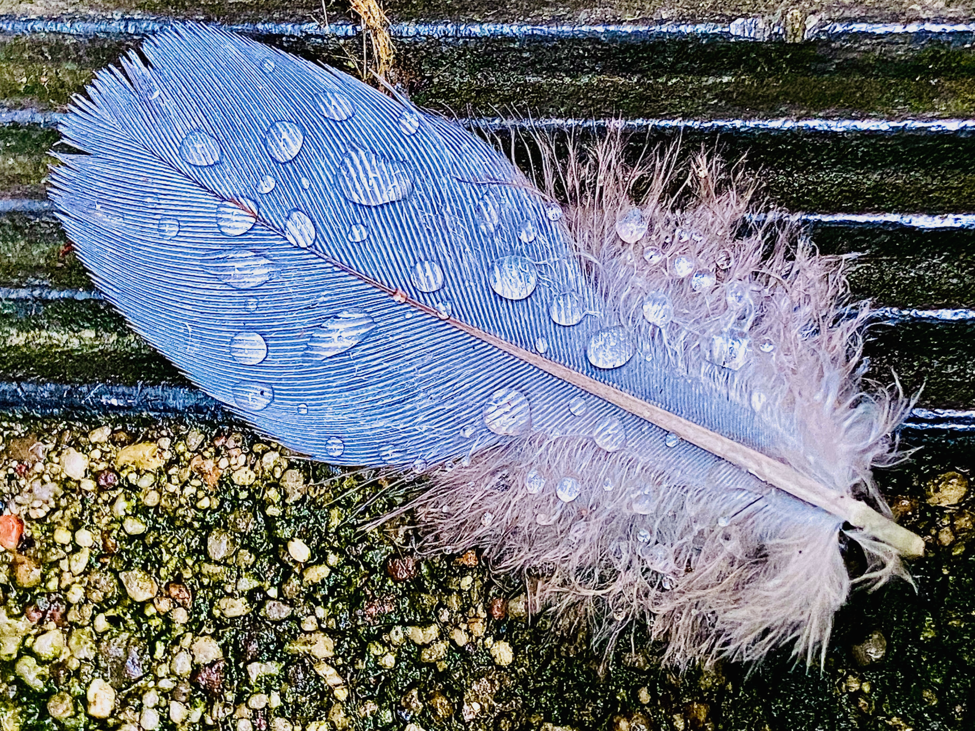 Ausbilden. Lehre, Erkenntnis, Heilung, Inneres Kind