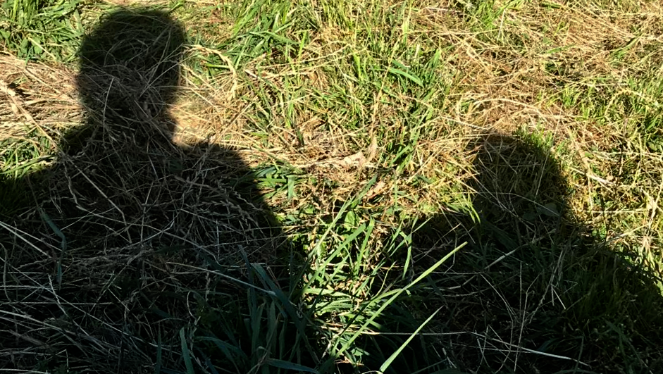 Ausbildung, systemische Aufstellung, Erkenntnis, Konstellation, Familie