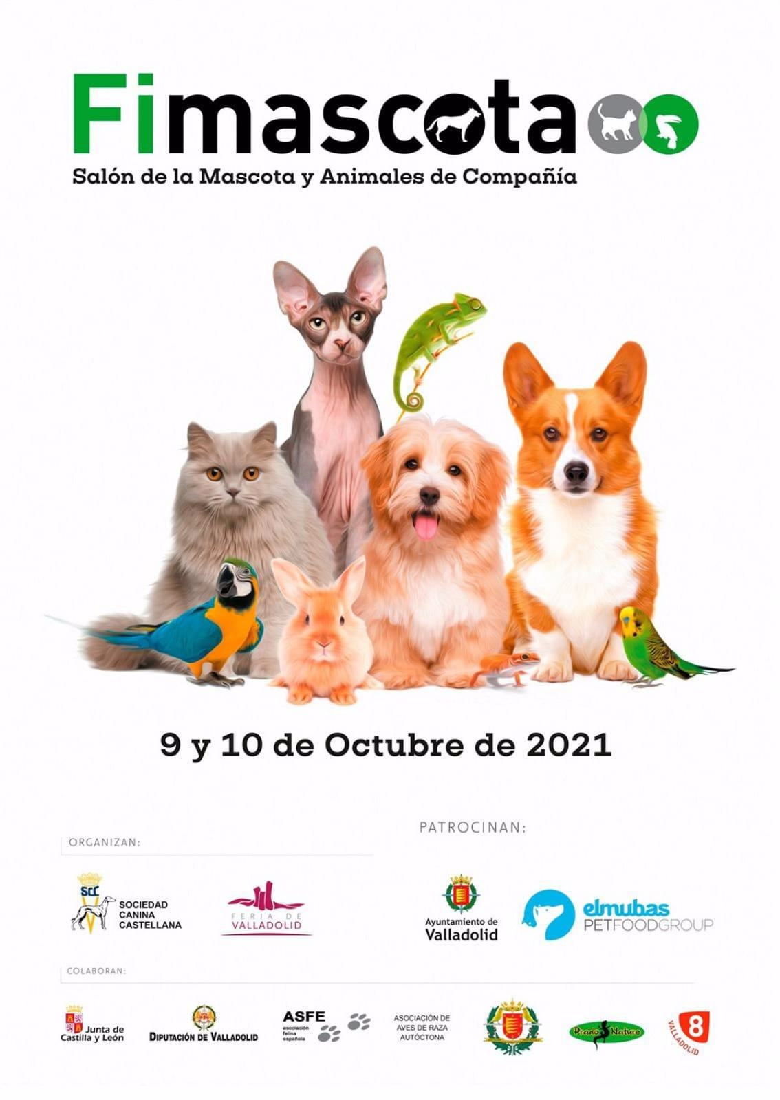 EXPOSICIÓN FINMASCOTA 2021 VALLADOLID