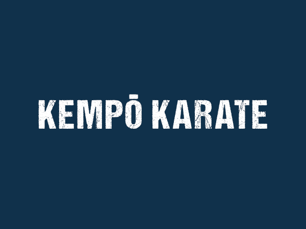Kampfsport Selbstverteidigung Karate MMA Leipzig