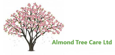 Almond Tree Care Ltd