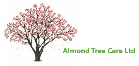 Almond Tree Care Ltd Almond Tree Care Ltd