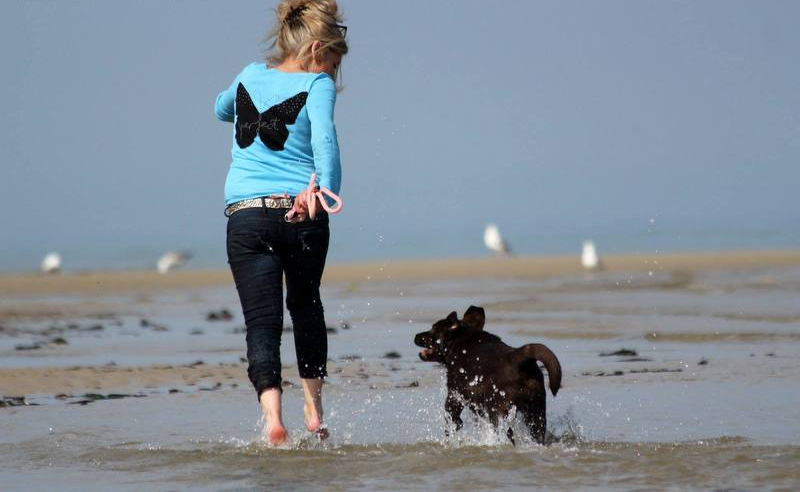 Voir la page de la portée