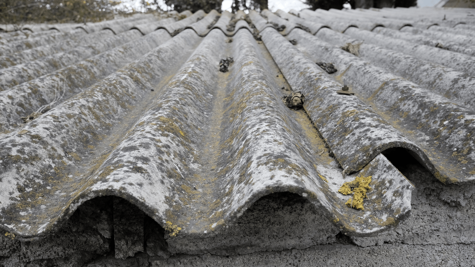 asbestos roof on garage