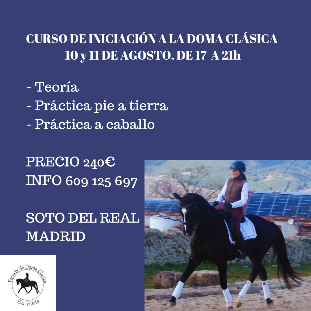 Clinic estiramiento