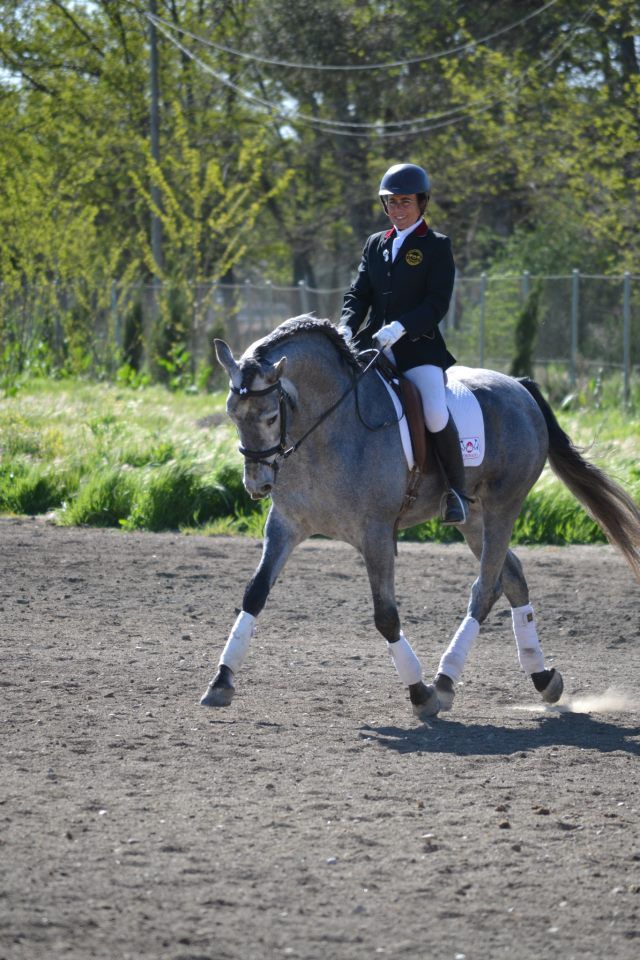 Entrenamiento y doma de caballos