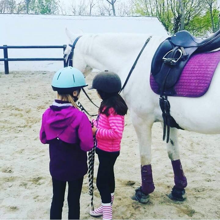 Escuela de Equitación