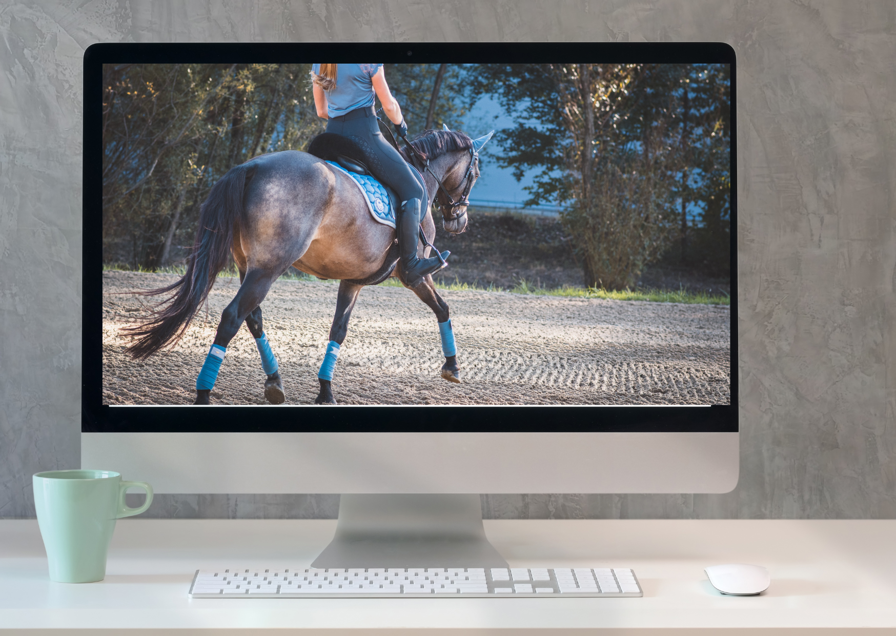 clases de equitación con ponys