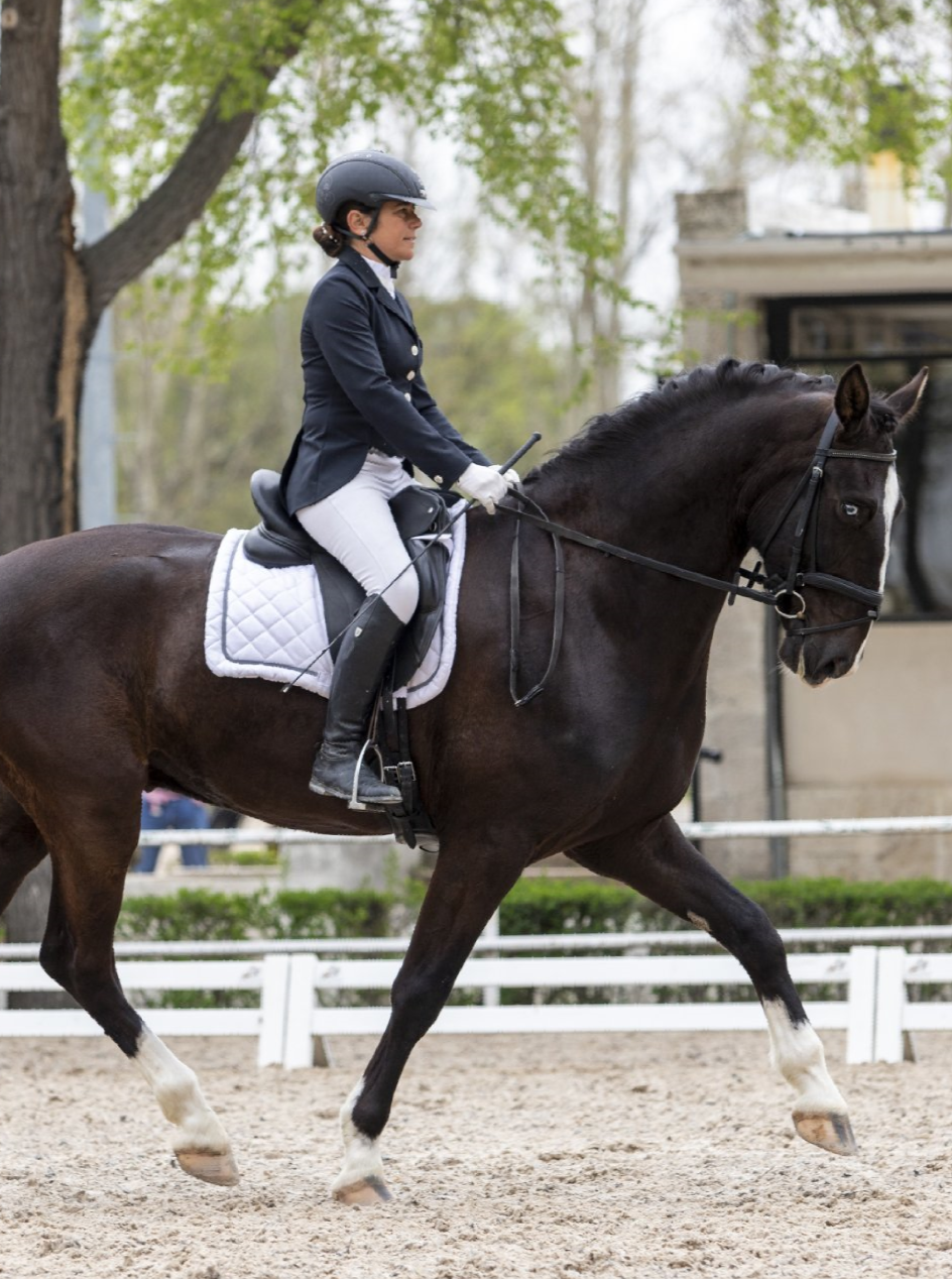 escuela de Doma Clásica