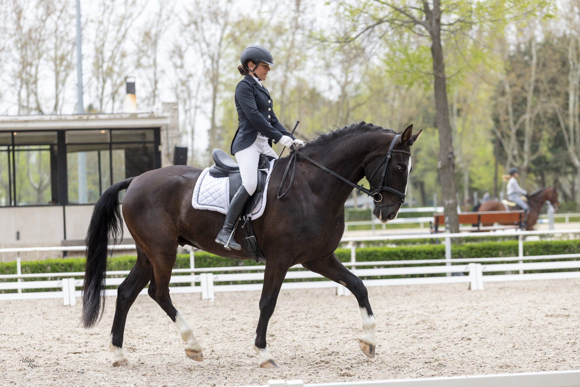 Escuela de Doma clásica EV