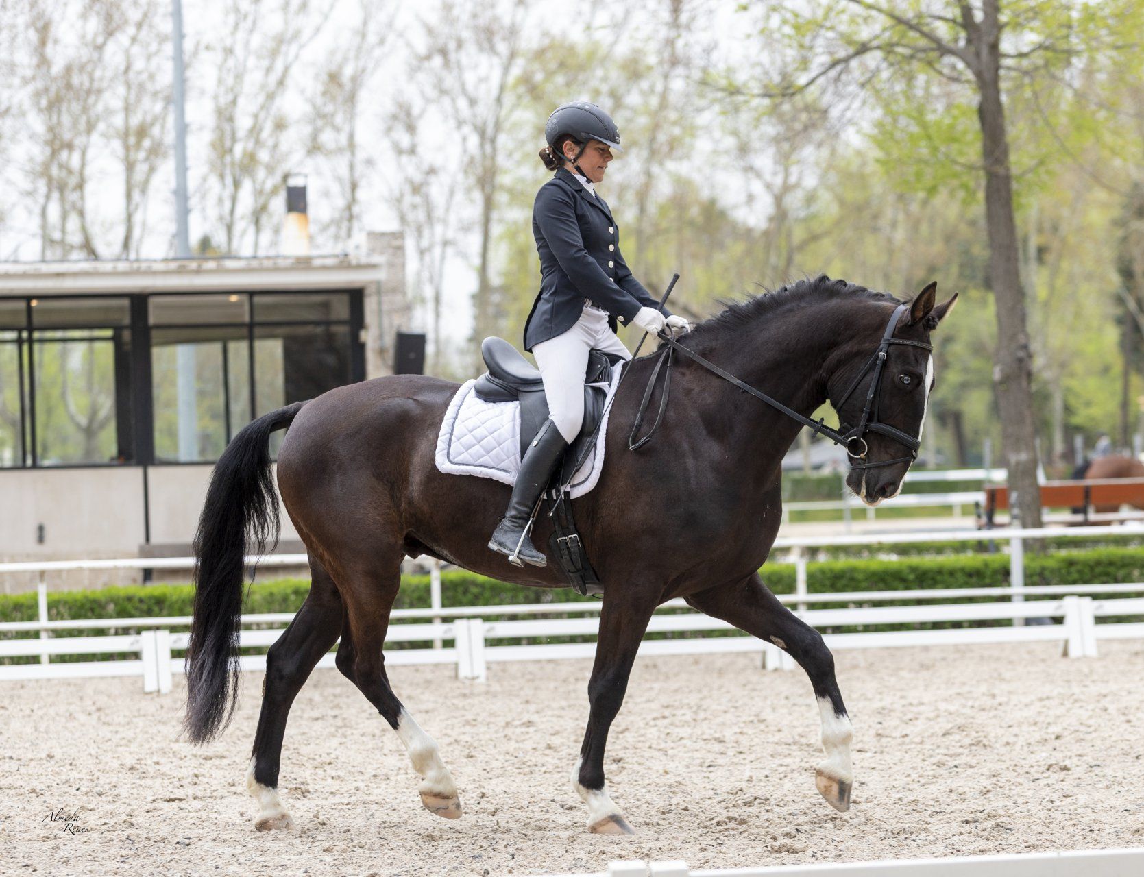 Escuela de Doma clásica EV