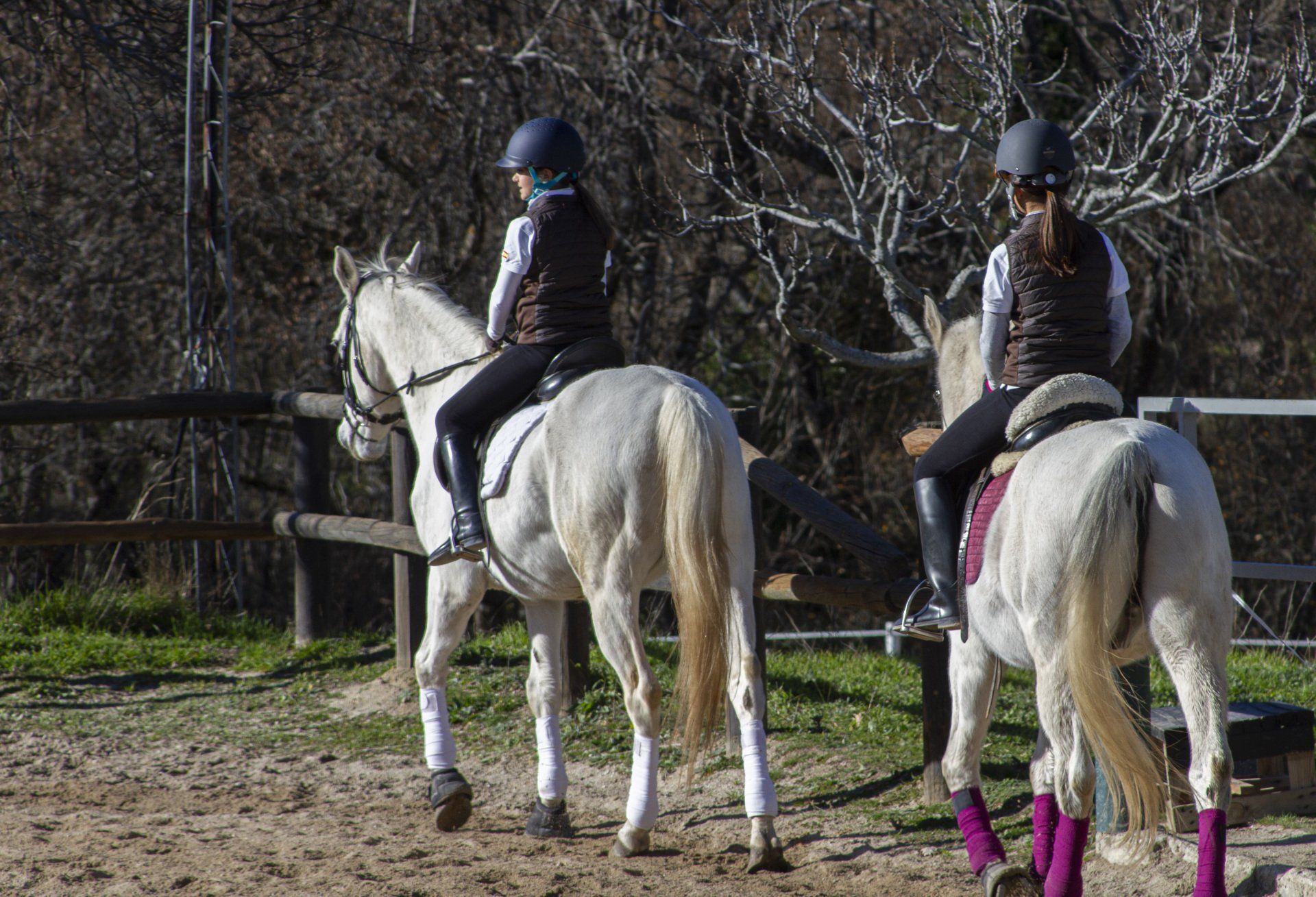 CLASES DE EQUITACIÓN