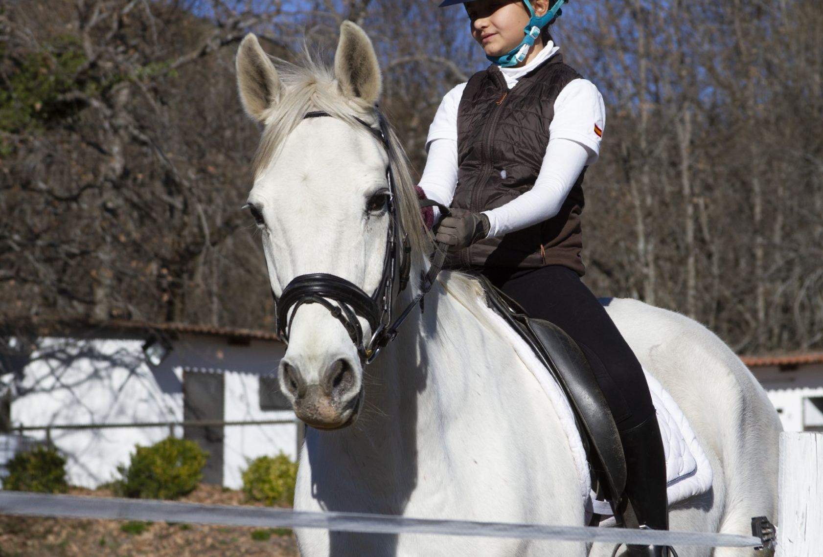 CLASES DE EQUITACIÓN