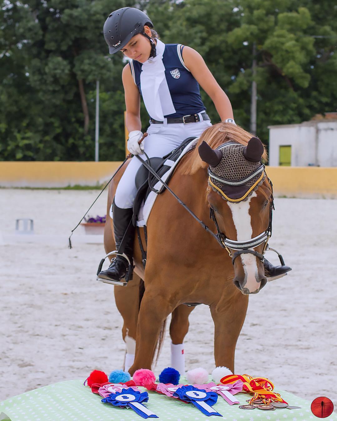 Competición Doma Clásica