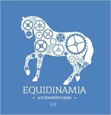 Equidinamia
