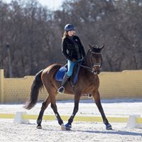 entrenamiento del jinete