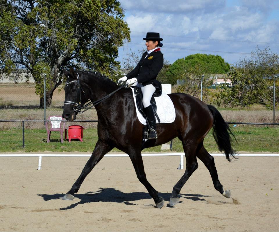 Escueladomaclasica.ev