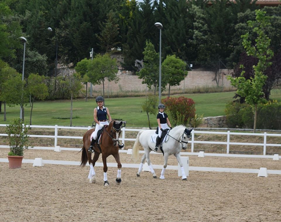 caballos vendidos