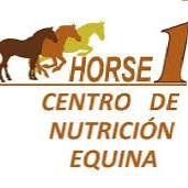 Horse1