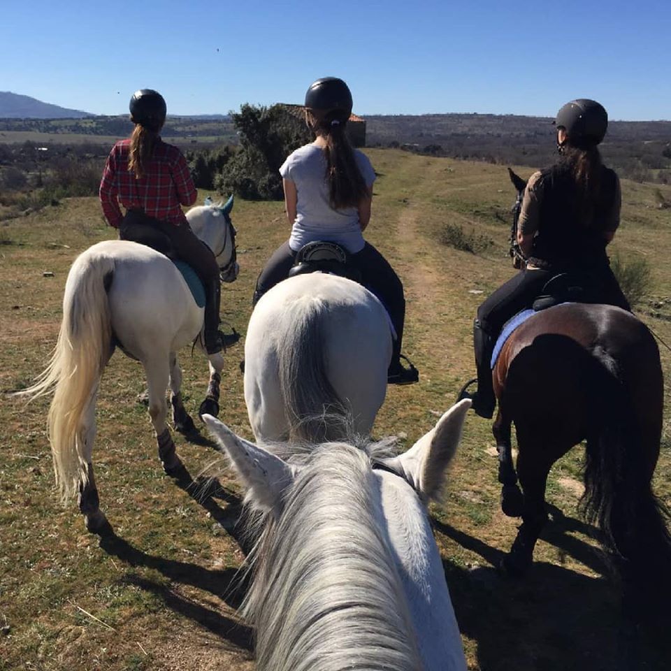 turismo ecuestre cuenca alta del Manzanares