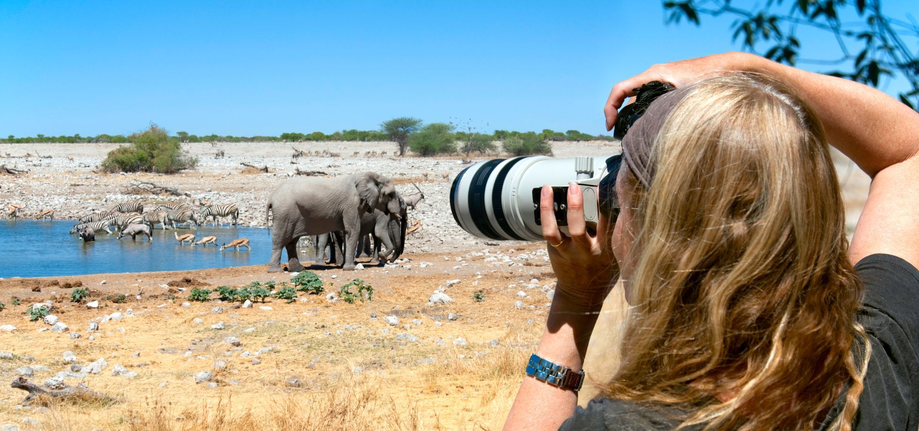 Taking photos of African animals naturally in the wild.