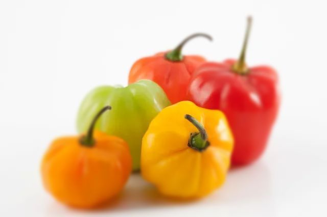 rote, gelbe, orange und grüne Paprika