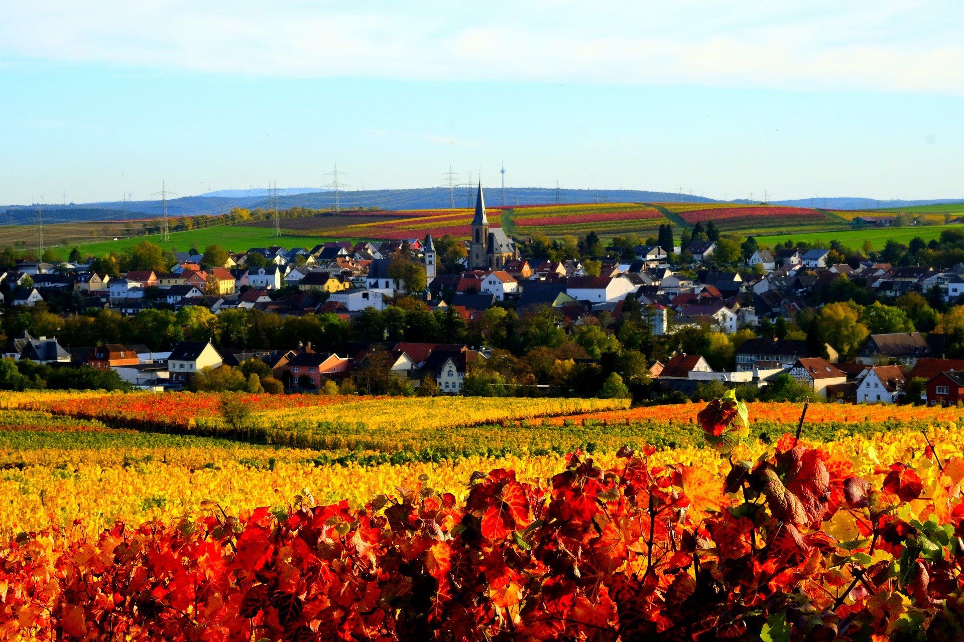 Deutschland, deutsche Weine, Rheinhessen, Pfalz, Rotwein, Weißwein, Rosé