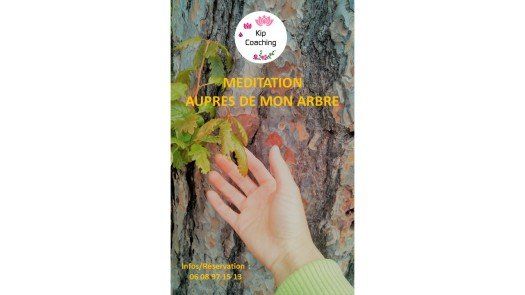 méditation en forêt, image d'une main caressant un tronc d'arbre méditation en forêt, image d'une main caressant un tronc d'arbre