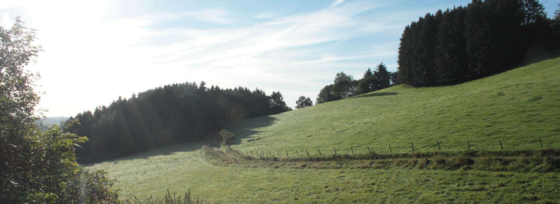 Eine unserer Weideflächen Grünlandflächen, Eifel - Weiden
