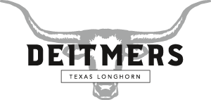 Logo Deitmers Texas Longhorn