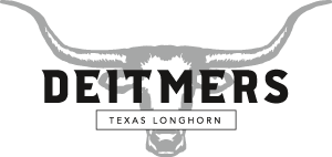 Deitmers Texas Longhorn Logo Deitmers Texas Longhorn