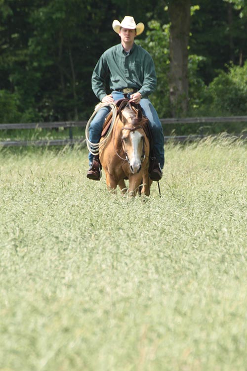 Luna Blue Power Cowboy mit Pferd auf Weide