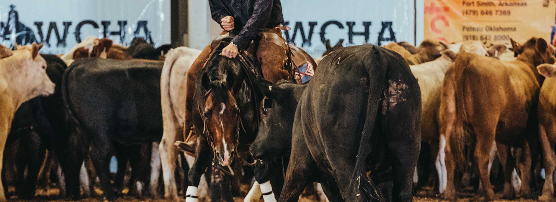 UR Locked N Loaded Turnierstart Will Rogers Coliseum WCHA Uwe Röschmann