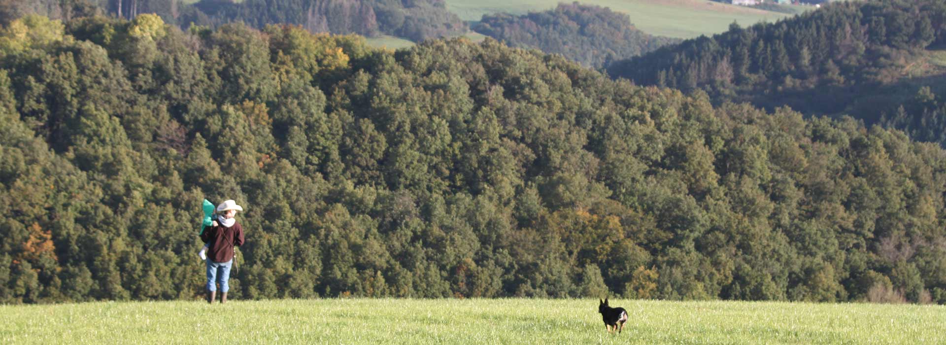 Ein Teil unserer Weideflächen Aussicht Weideflächen Eifel