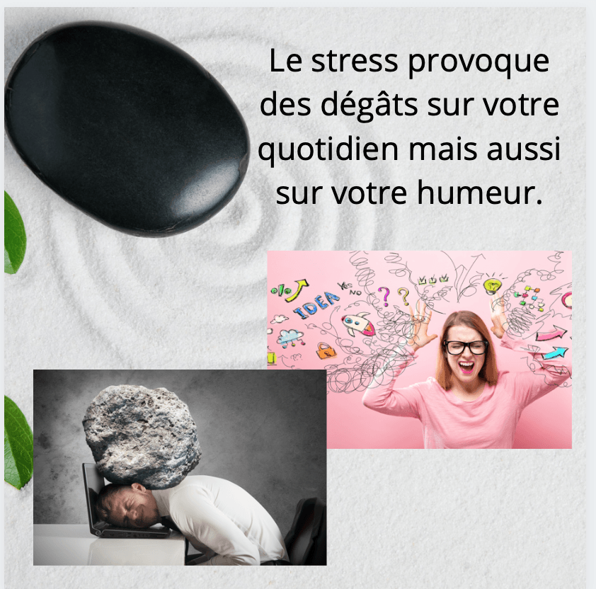 Stress et conséquences