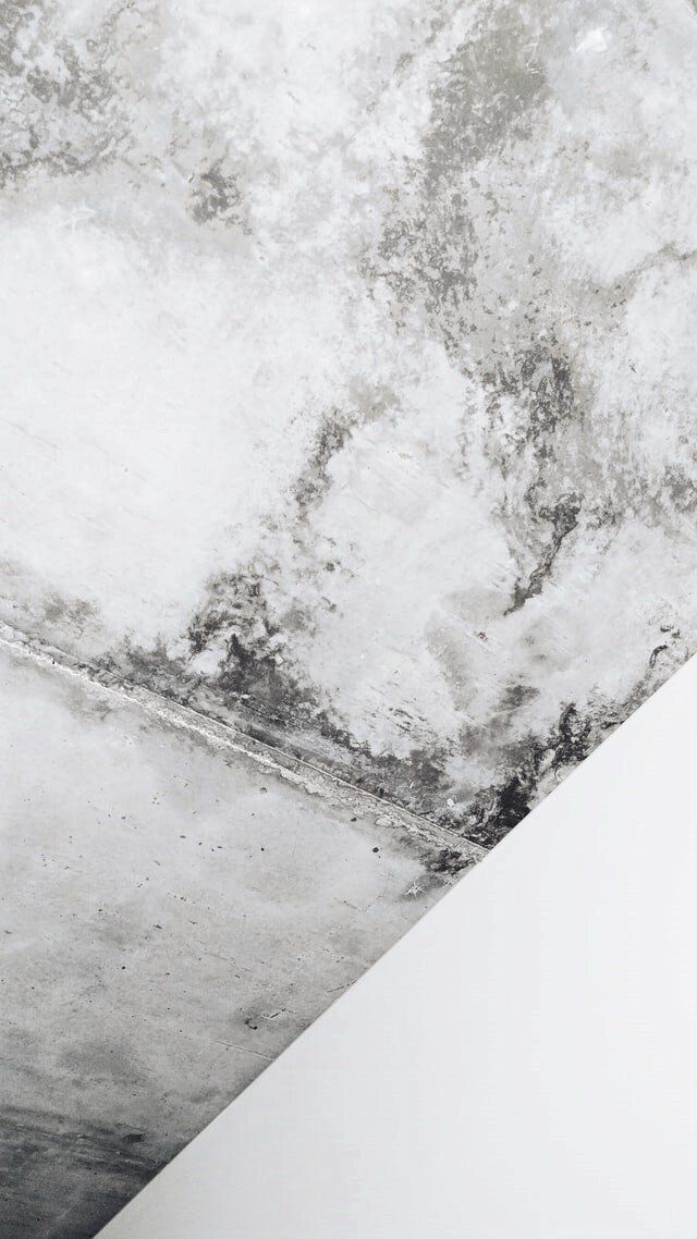 Moho y hongos en pared por humedad de capilaridad