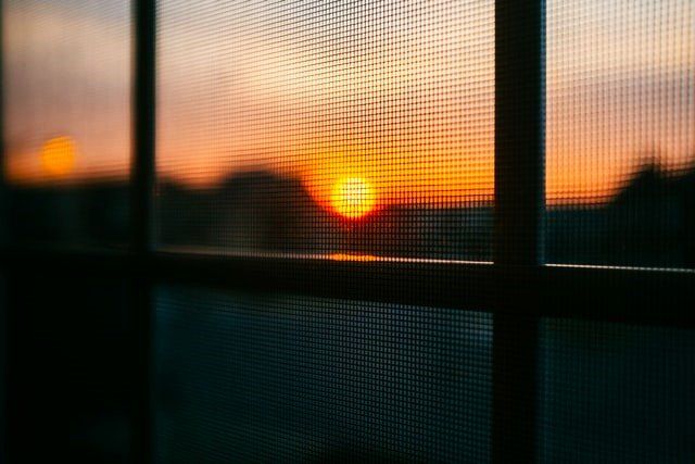 Una mosquitera fija será muy útil a la noche Mosquitera fija