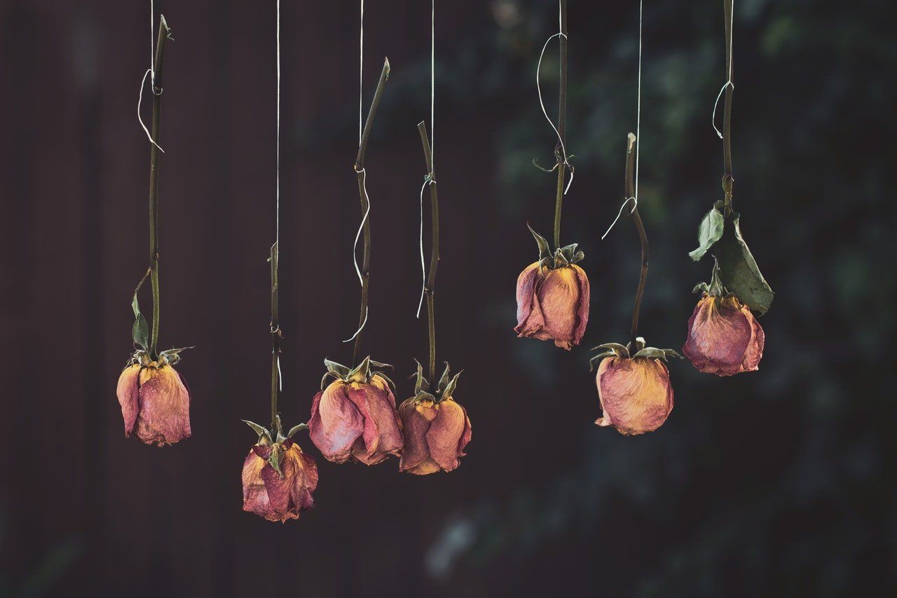 Como secar flores secas. Un móvil de rosas secas Como secar flores secas. Movil de rosas secas