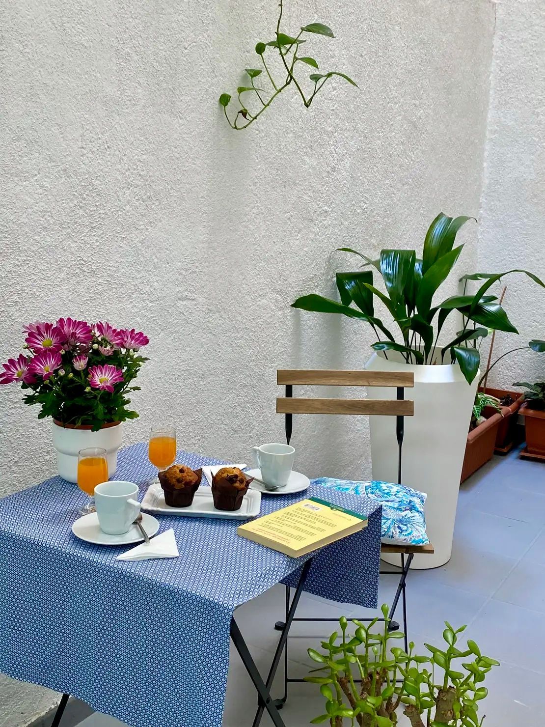 Patio terraza y biofilia - Decoracion mini piso Inspiracion al Cuadrado Patio terraza y biofilia - Decoracion mini piso Inspiracion al Cuadrado