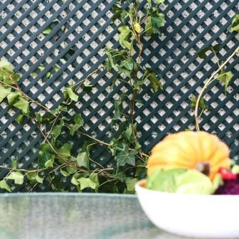 Celosía con decoración de plantas: hiedras