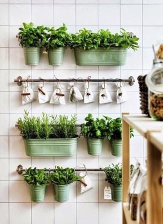 Plantas aromáticas en la cocina